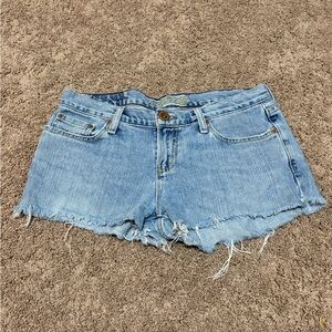 American Eagle Outfitters Light Blue Frayed Jean Shorts